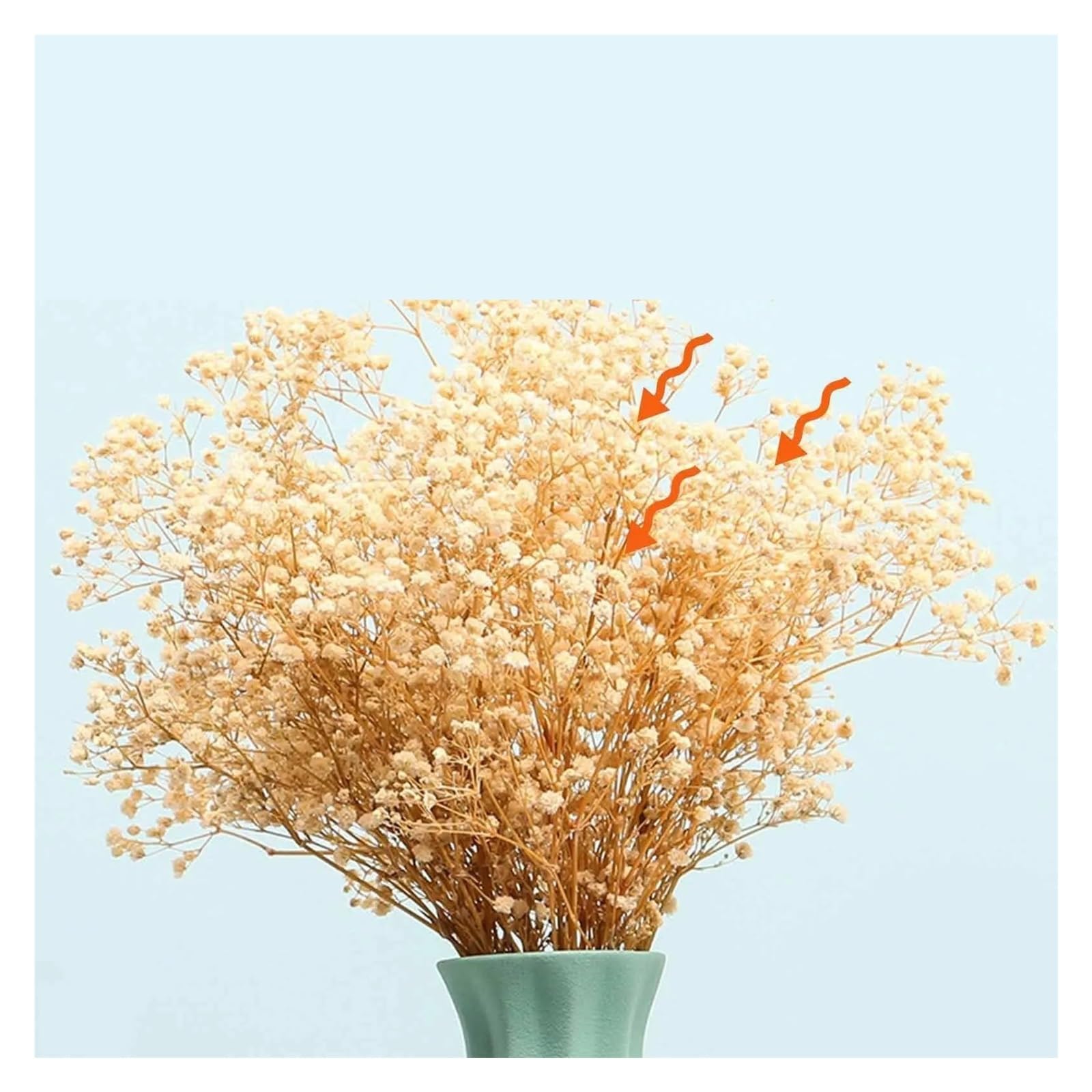 gypsophile séché Bouquet de Fleurs Gypsophila séchées for bébé, décoration Mariage, Maison(Multicolour,140g)
