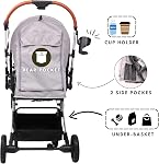 Pet Poussette pour petits chiens moyens Chats jusqu'à 45 lbs, voyages Lite Collapsible, tout terrain 4 Roues pour le jogging, Running, Gris