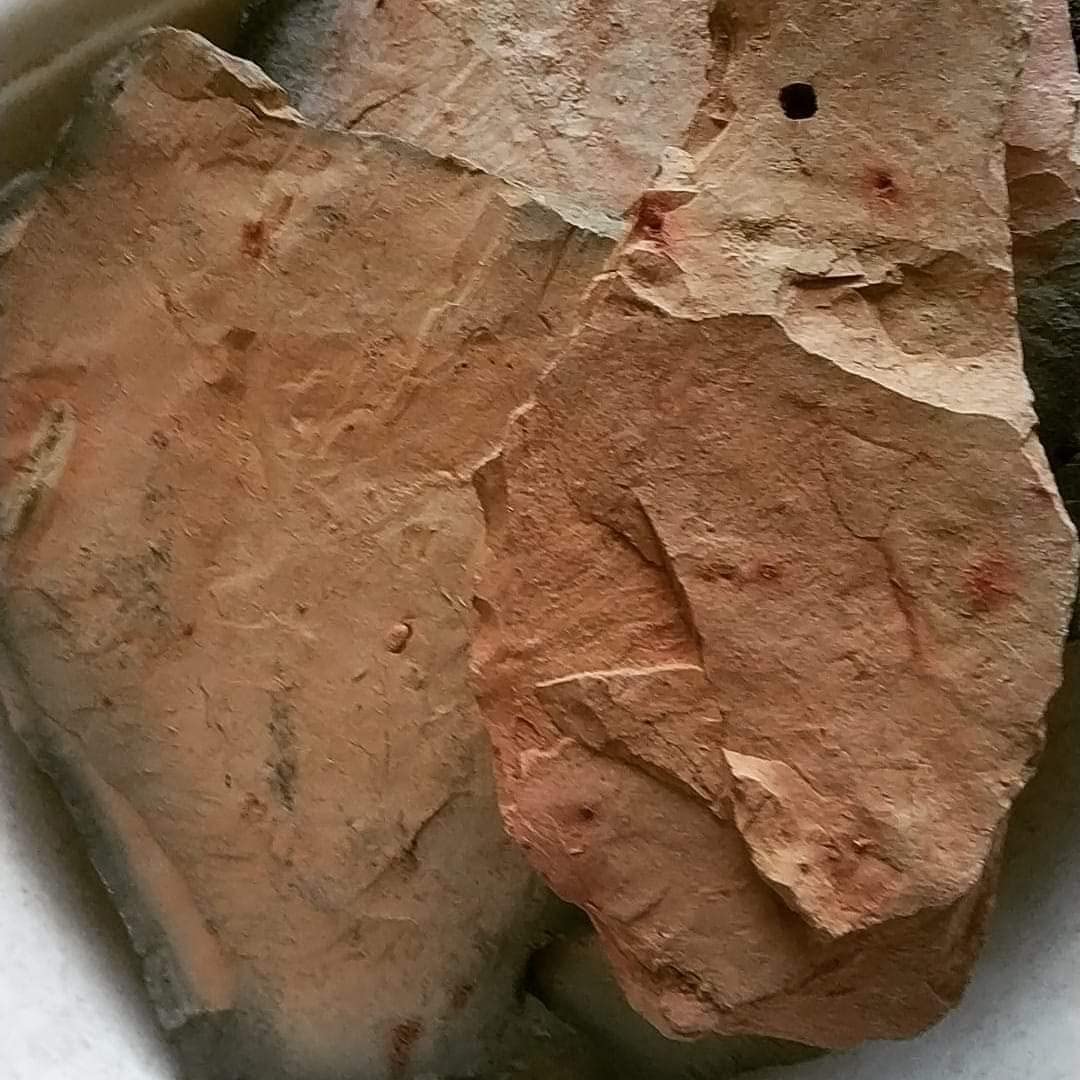 Amazon.com: VRINDAVANBAZAAR.COM Roasted Multani Mitti Clay - 1.5