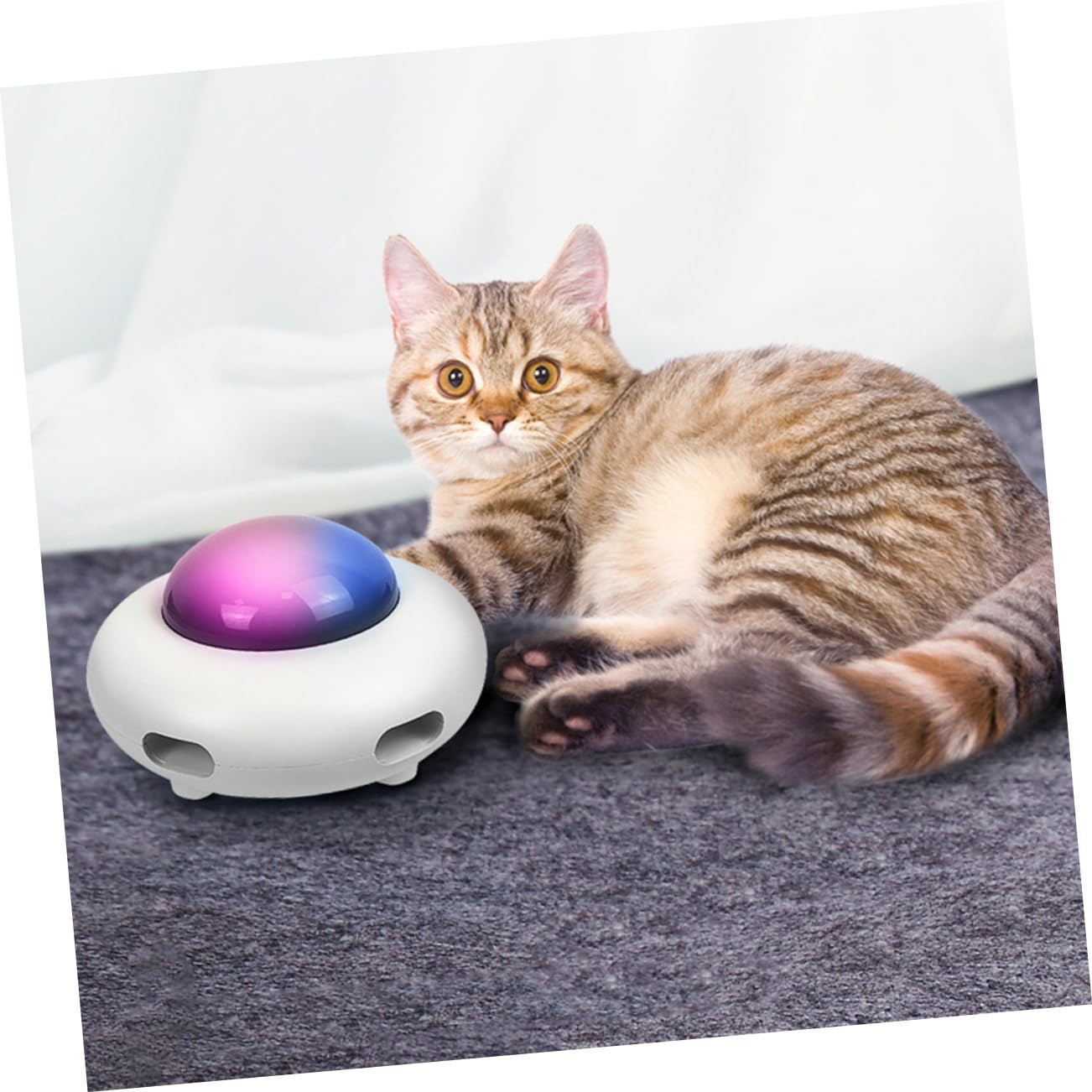 Toddmomy Jouet Automatique pour Chat Jouet Éveil Interactif Amusement pour Chat Roulant Divertissement