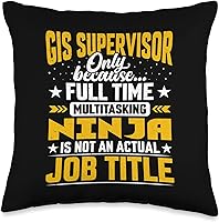 Vista 5 de Título del puesto de supervisor de SIG - Almohada divertida para director de GIS