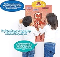 Vista 3 de BEST LEARNING i-Poster My Body - Juguete educativo interactivo para hablar de anatomía humana Aprende partes del cuerpo, órganos, músculos