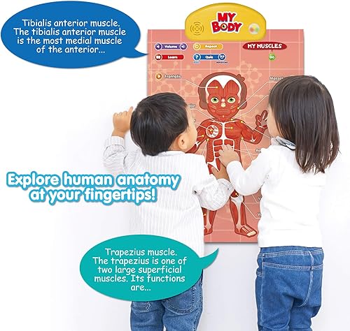 Miniatura 3 de BEST LEARNING i-Poster My Body - Juguete educativo interactivo para hablar de anatomía humana Aprende partes del cuerpo, órganos, músculos