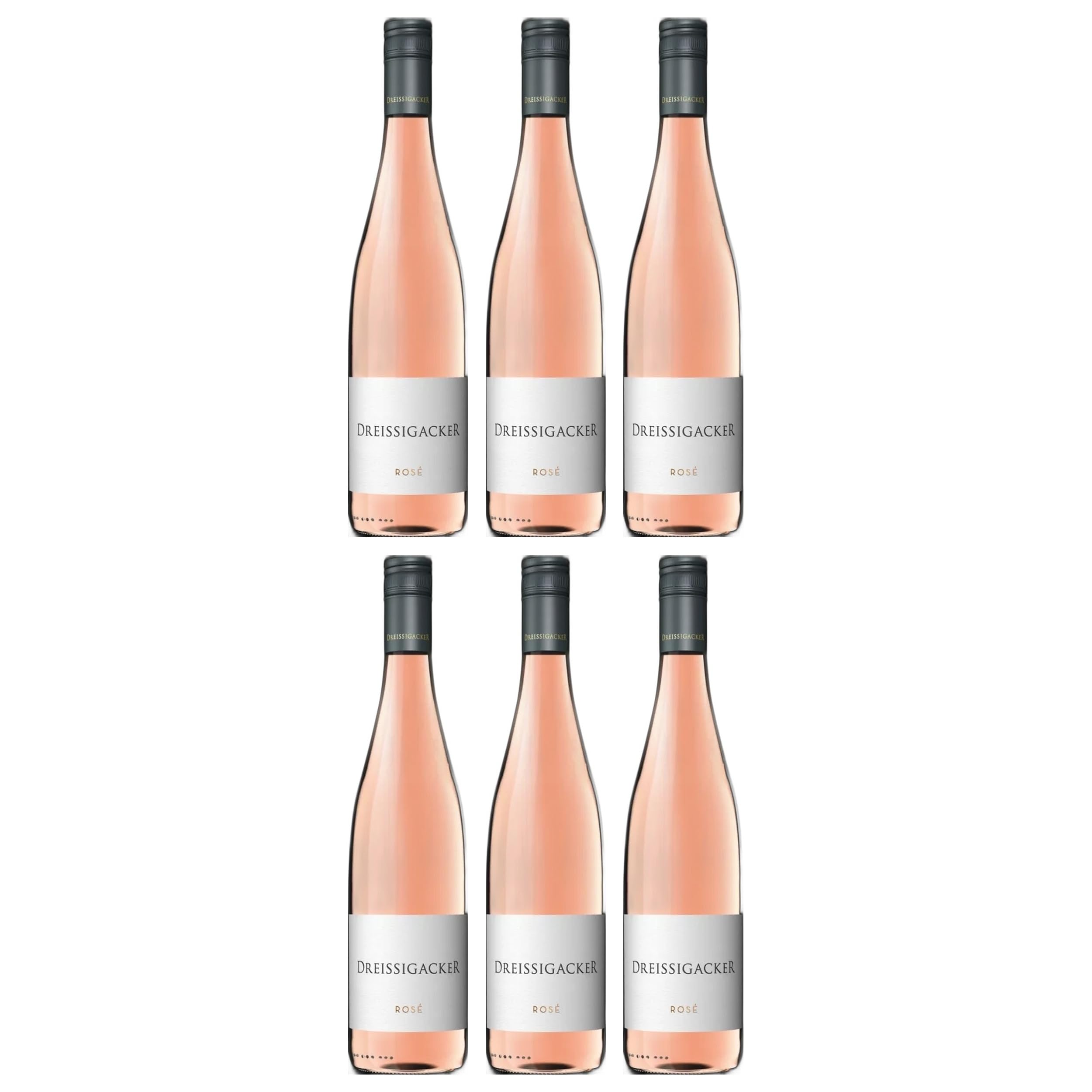 Dreissigacker Pinot & Co Magnum Roséwein Rosé trocken BIO Deutschland inkl. FeinWert E-Book (6 x 1.5 l)