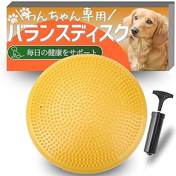 バランスドボディ　新品　サークル 51iTnpIVkQL.jpg_BO30,255,255,
