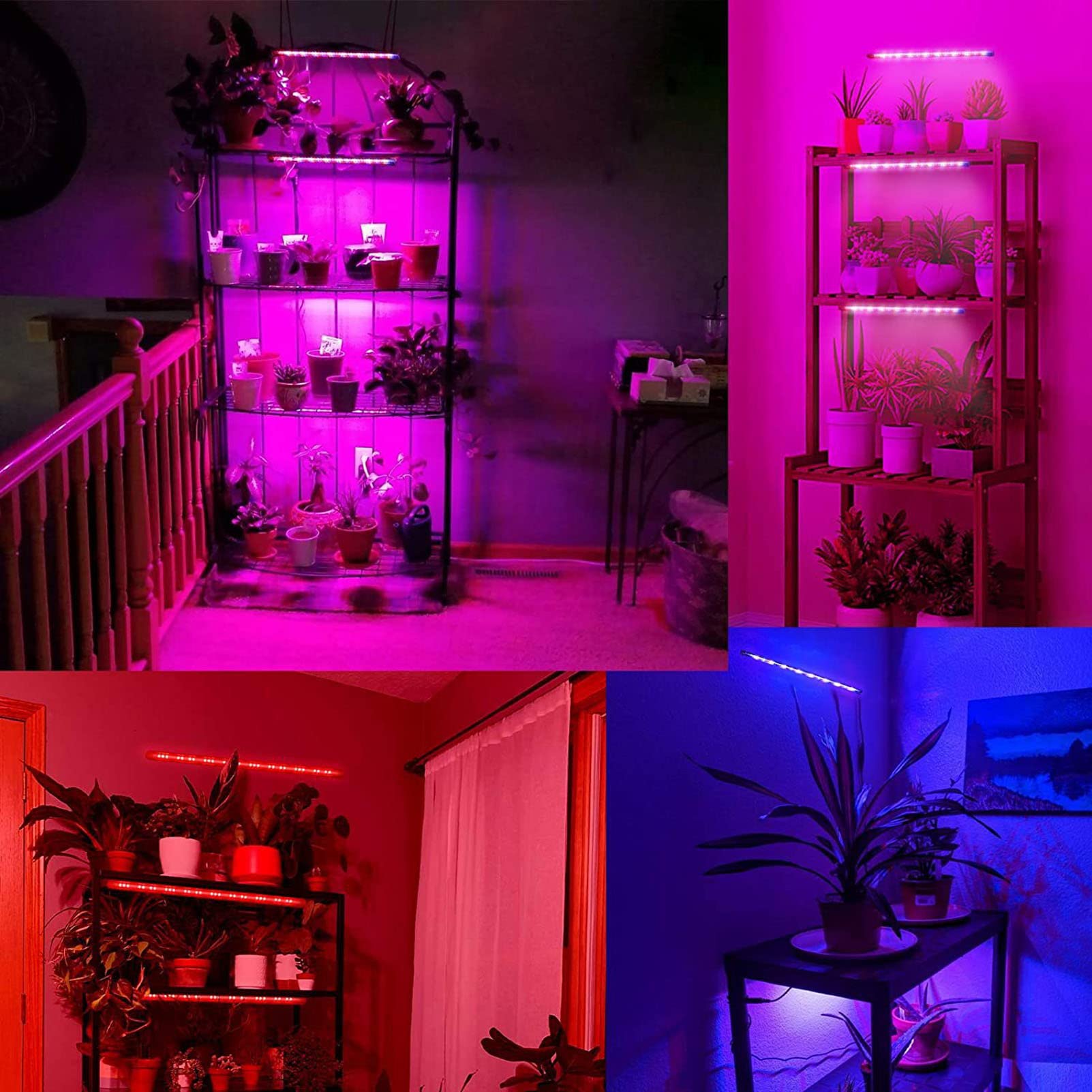 Lampes de Culture LED Bandes Lumineuses pour Plantes d'intérieur Spectre Complet 5 Niveaux à intensité Variable 3H/6H/12H Minuterie Lampe de Culture pour Plantes succulentes hydroponiques