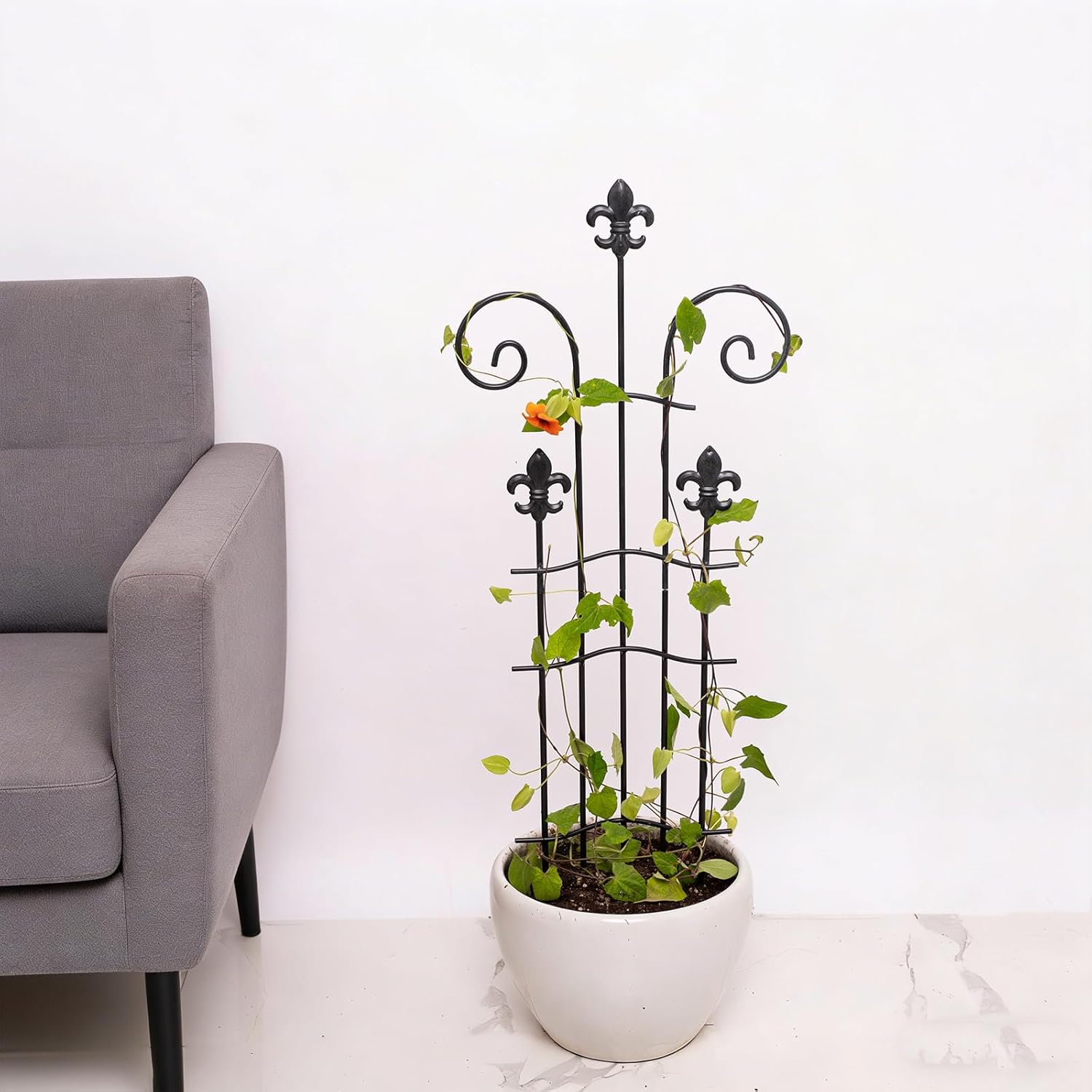 31" Trellis for Climbing Plants Indoor - Heavy Duty Metal Support for Potted Plants, Ideal for Vining Plants, Perfect for Tall Monstera & Houseplants, for Gardeners & Plant Lovers