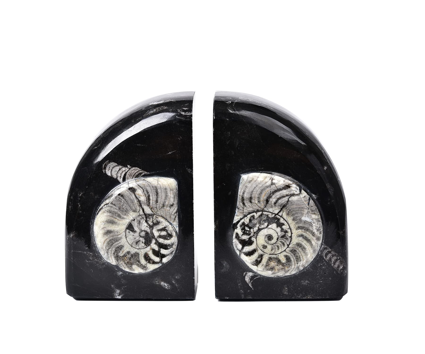 AMOYSTONE Heavy Duty Sturdy Bookends for Shelves, Morocco Orthoceras Fossil Heavy Bookends Stopper 6-8 LBS for Home Office Books with Rubber Bumpers (