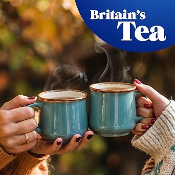 Tetley Original Black Tea Bags - Full Flavoured British Brew - Perfect for Breakfast or Anytime - Rainforest Alliance Certified - 240 Teabags (1 Pack) | Britain's Tea, 185+ Years of Tea Heritage, Rainforest Alliance Certified, Plant-Based Teabags, Recyclable Box, 240 Bag Box