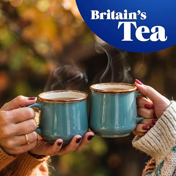 Tetley Original Black Tea Bags - Full Flavoured British Brew - Perfect for Breakfast or Anytime - Rainforest Alliance Certified - 240 Teabags (1 Pack) | Britain's Tea, 185+ Years of Tea Heritage, Rainforest Alliance Certified, Plant-Based Teabags, Recyclable Box, 240 Bag Box