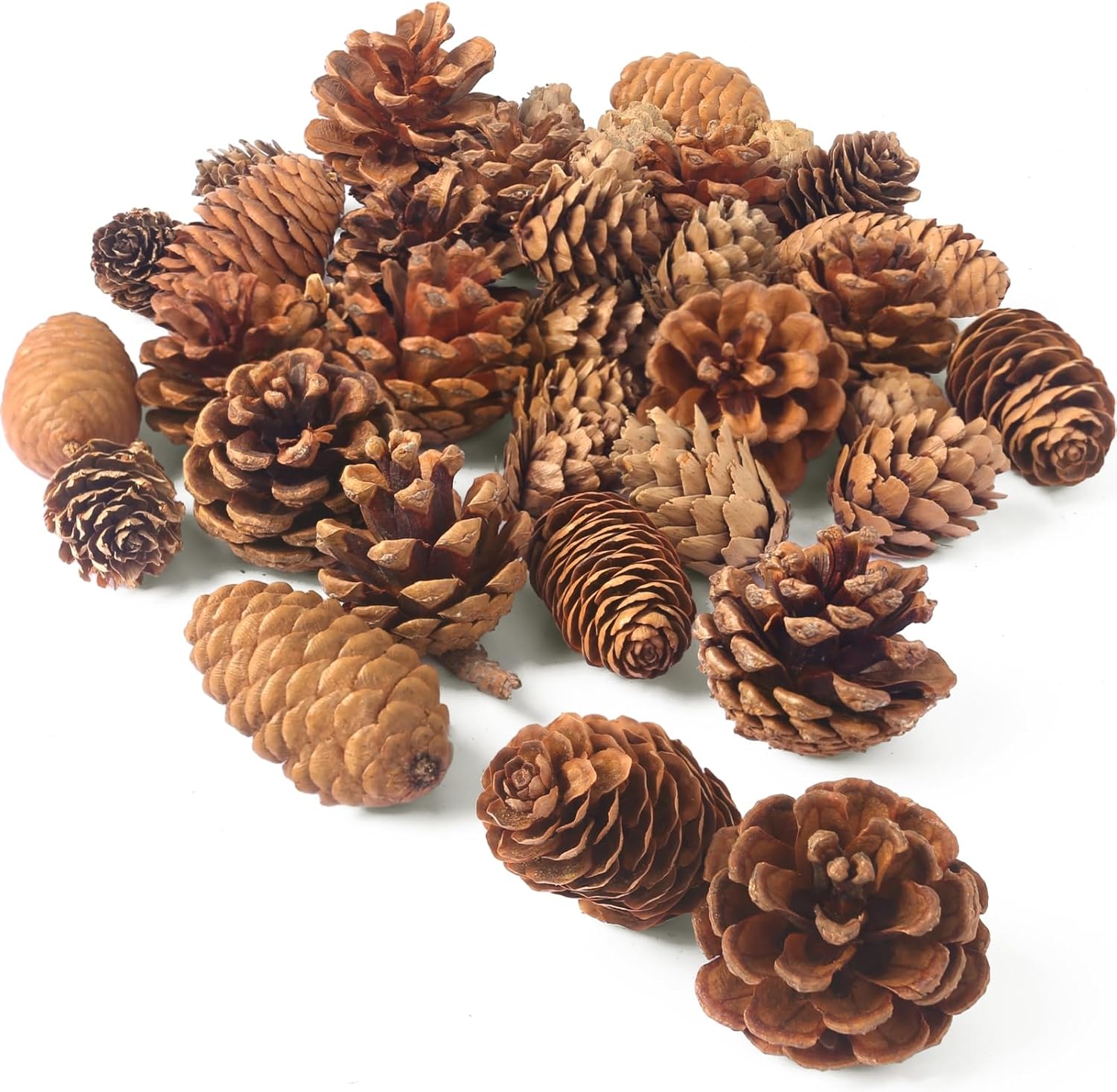 BigOtters 40PCS Pine Cones Decorations, Pine Cones Bulk