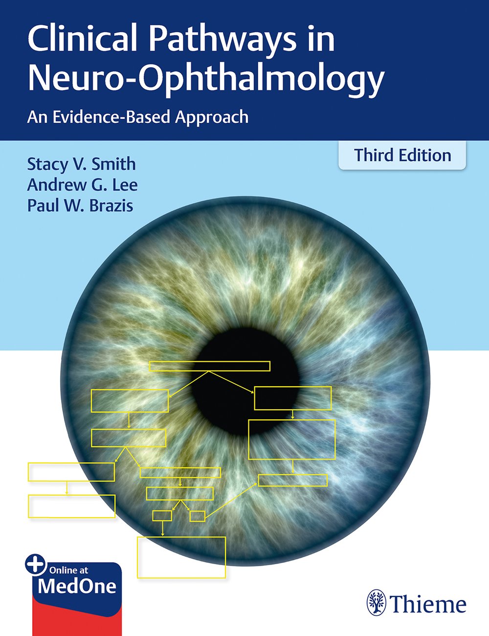 Clinical Pathways in Neuro-Ophthalmology: An Evidence-Based Approach