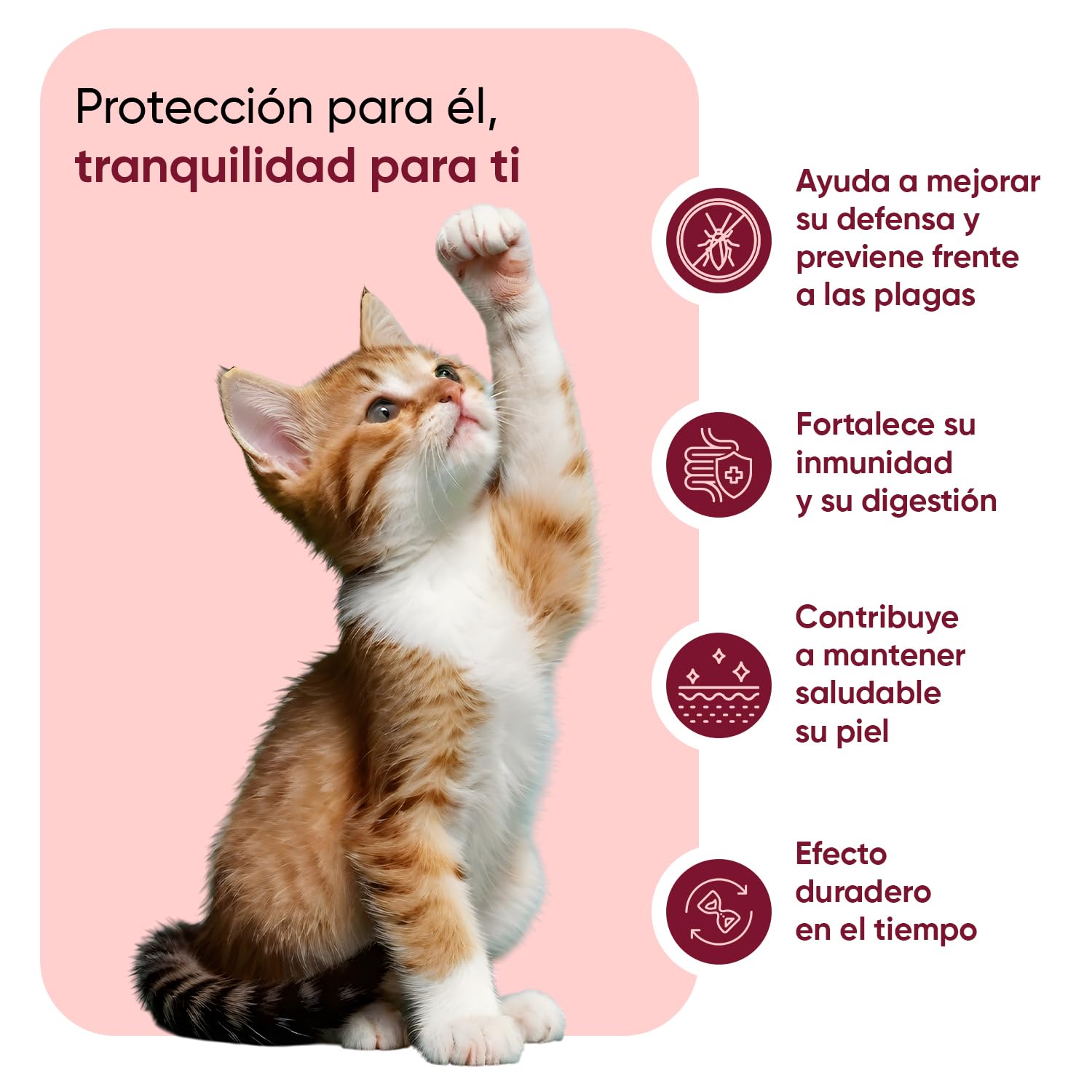 animigo Antiparasitario en Polvo para Gatos 100g Sabor Pollo - Protección Natural Antipulgas y Antigarrapatas Muy Fácil de Suministrar Formulado con Ingredientes Naturales, Vitaminas Grupo B y Zinc