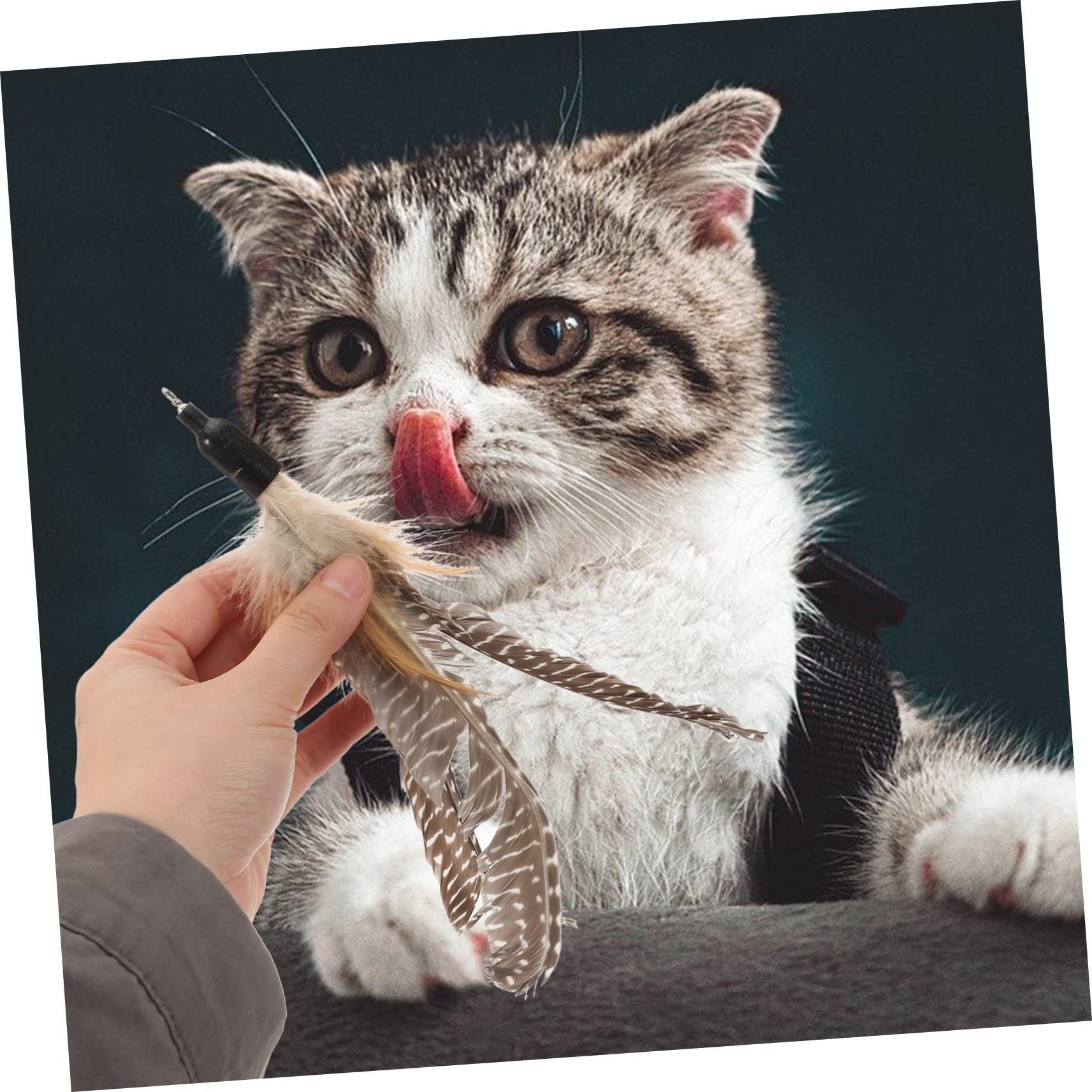 BESPORTBLE 32 Pièces Recharge Chat Teaser Chat Jouet interactif Jouet pour Chat Interactive Cat Toy Jeux pour Chat Baguettes de Chat Remplacement des Baguettes Teaser Chat la Plume