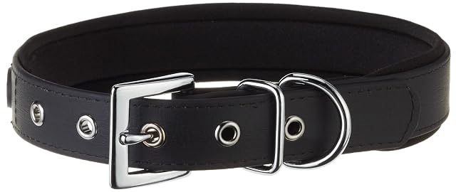Nobby, Collar de Perro, 40 - 50 cm/25 mm, Negro