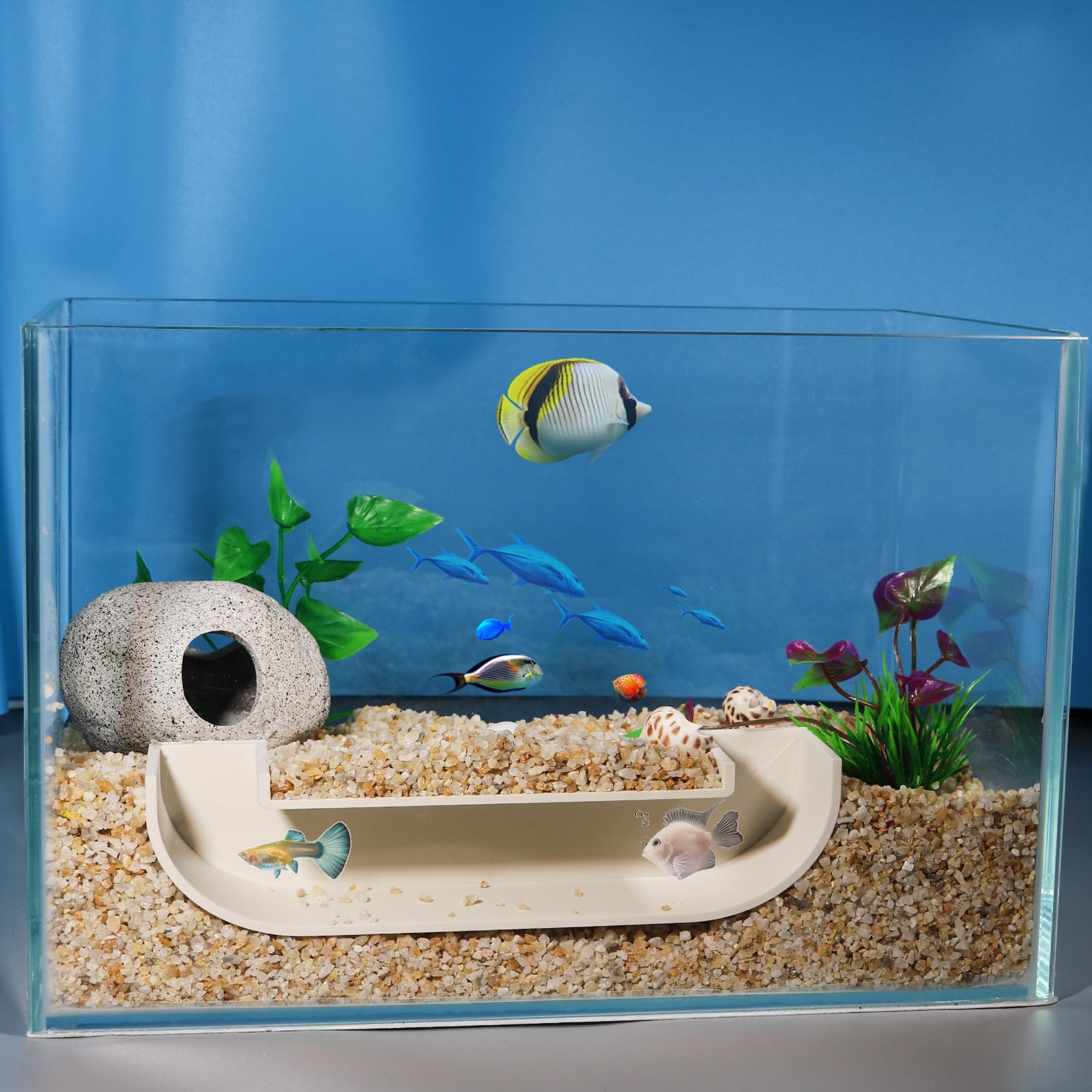 Amazon.co.jp: Toileum 水槽用魚の隠れ家 エビの隠れ家 水槽トンネル