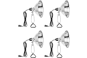 Simple Deluxe Clamp Lamps - Illuminating Workspaces and Enhancing Ambiance