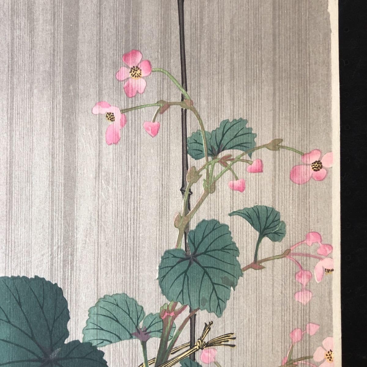 Amazon.co.jp: C小原古邨 雨中の秋海棠に鳥影 木版画 花鳥画 後