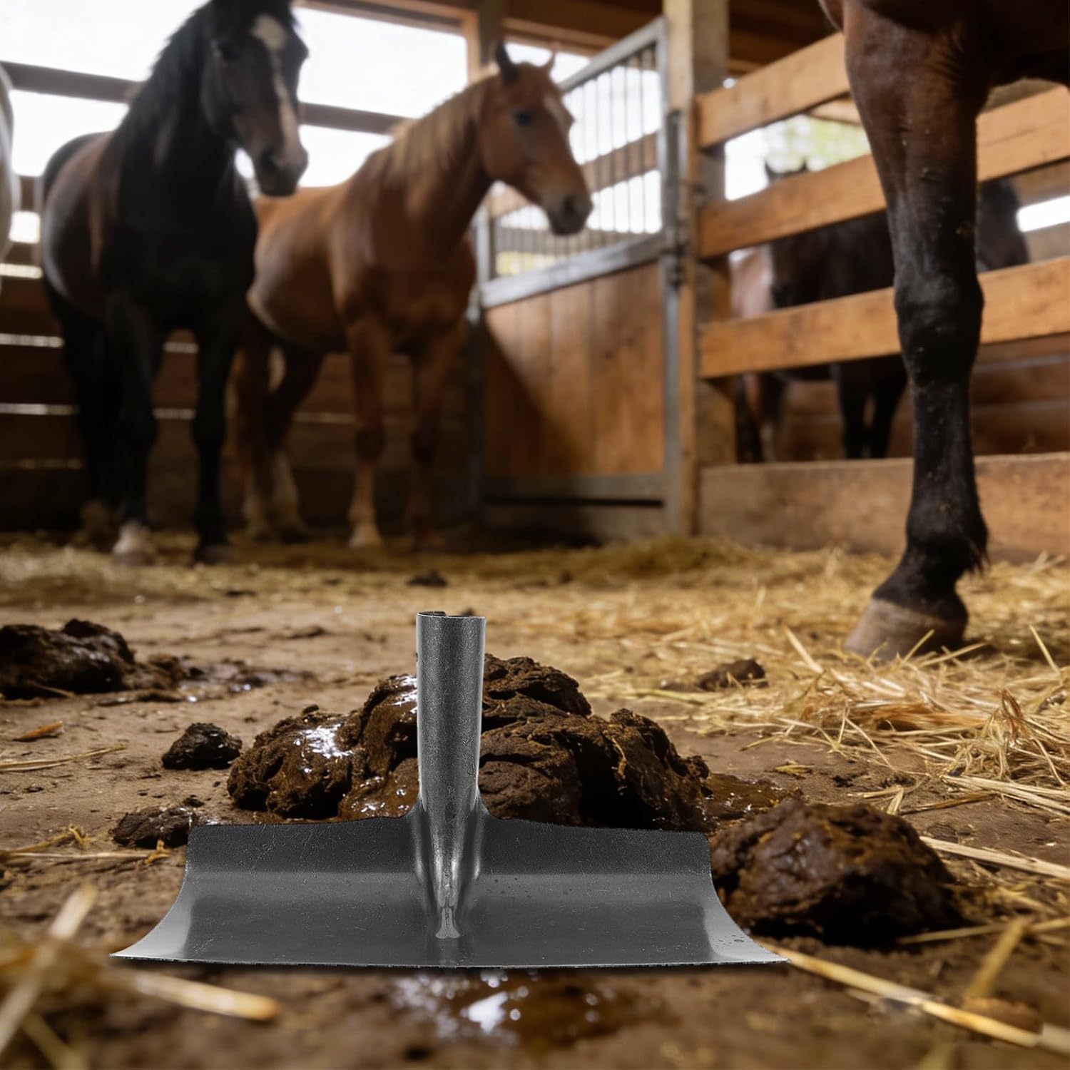 Barn Cleaning Tool, Thickened Manure Scraper Blade Replacement - 12 Inch Width - Pooper Scooper for Horse and Cattle, Concrete Floor Muck Out Tool