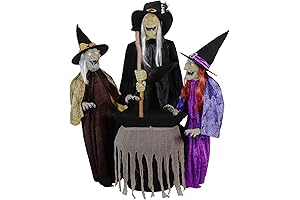 Haunted Hill Farm Motion Activated Witch Scare Animatronic Halloween Props