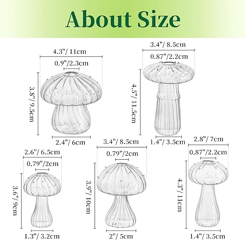 Miniatura 5 de Hewory Jarrón de cristal con forma de hongo para flores, 5 jarrones de flores transparentes pequeños únicos, floreros hidropónicos de propagación de