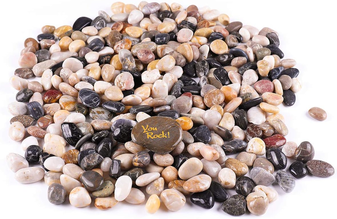 ROCKIMPACT 11 lbs Premium Quality Aquarium Gravel for Fish Tank, Aquarium Pebbles for Turtles, River Rocks for Air Plants/Succulents Top…