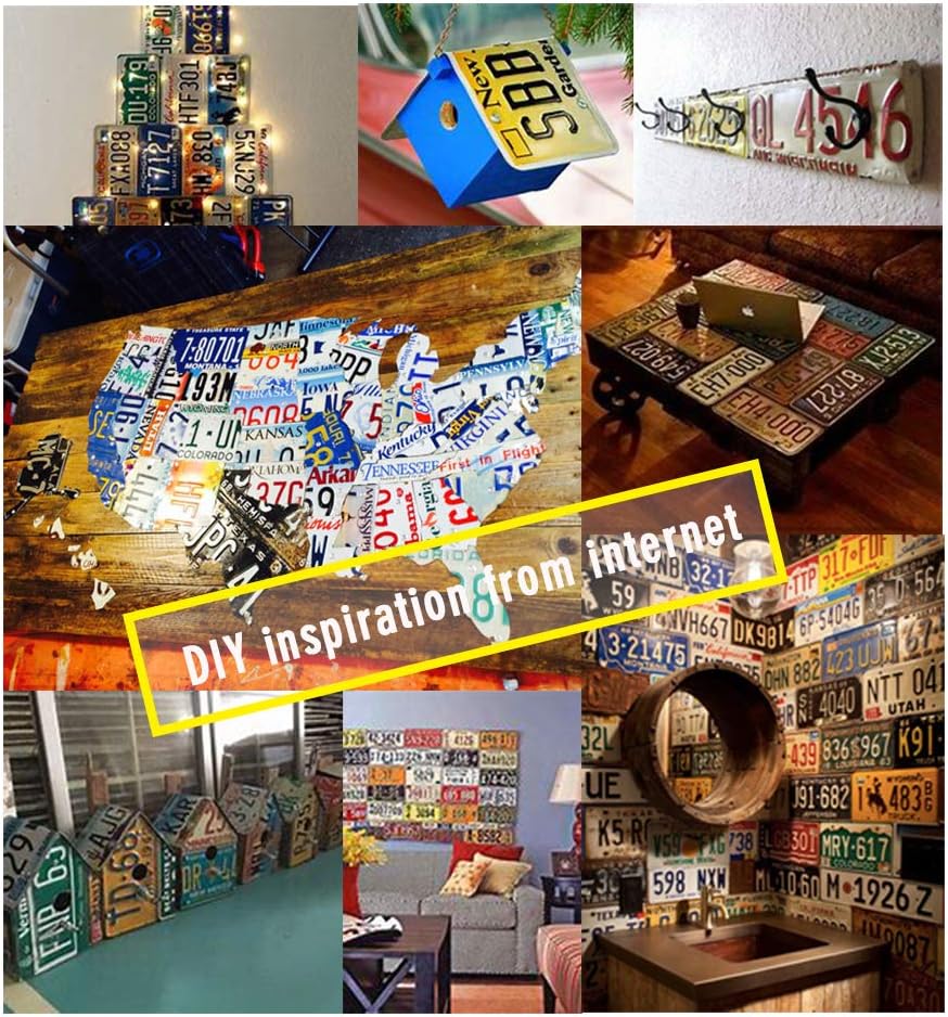 Assorted Replica License Plates, Metal Car Plates Decoration for Home Man Cave Garage (15 pcs US Plates Only) image 5
