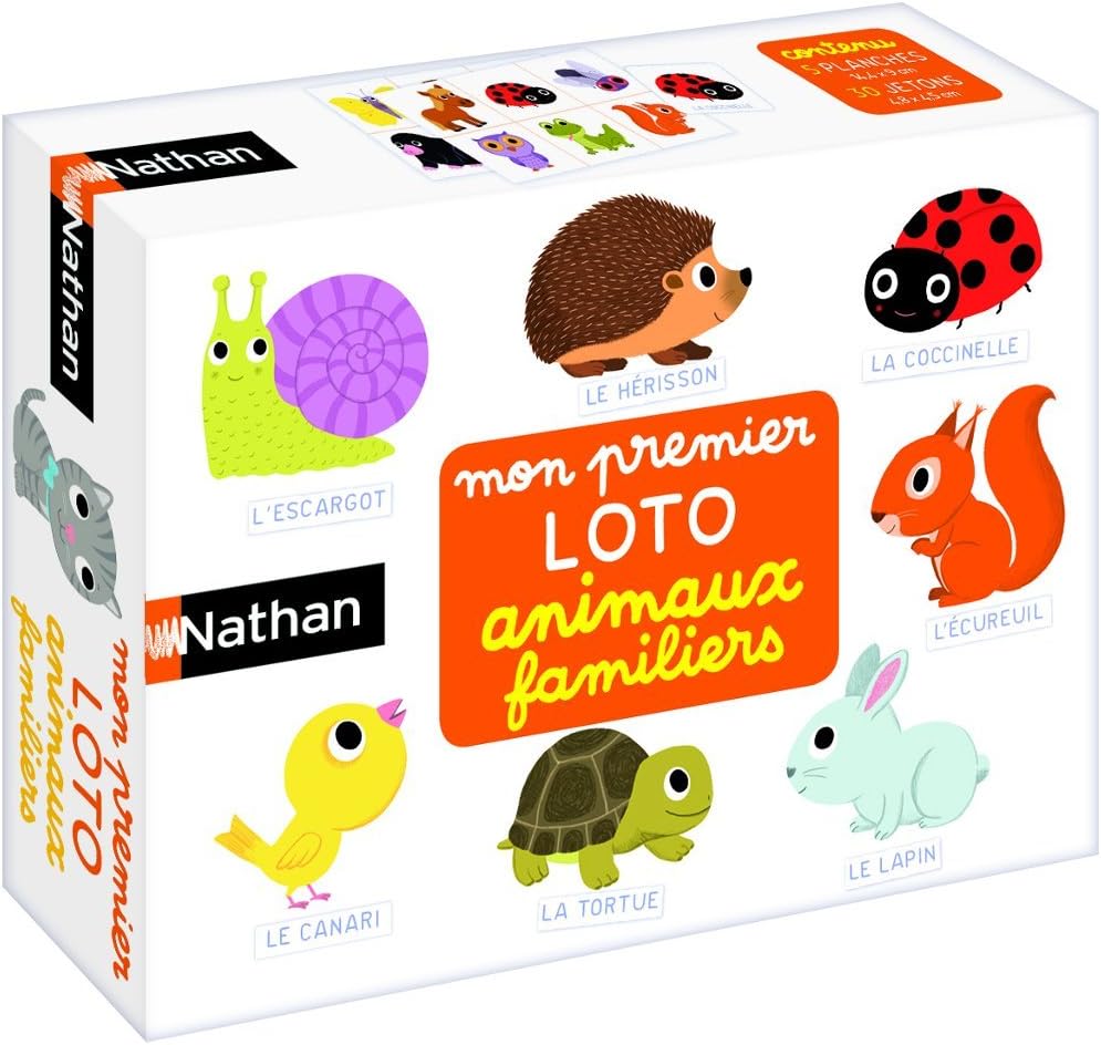 Nathan – Educational Game, 31151