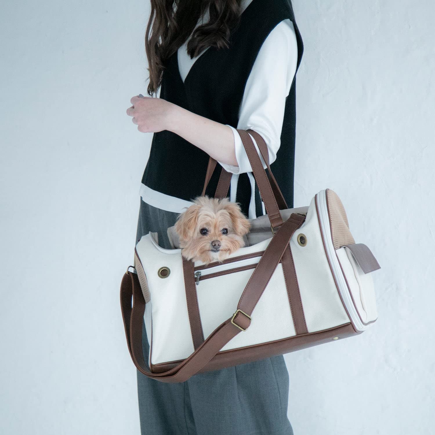 Amazon.co.jp: [citydog/シティドッグ] パイピングトラベル キャリー