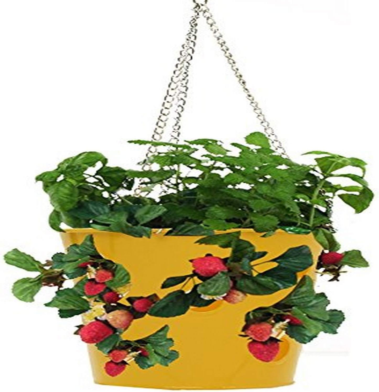 HIT 8396E SAFF Enameled Galvanized Hanging Strawberry Herb Floral Plante