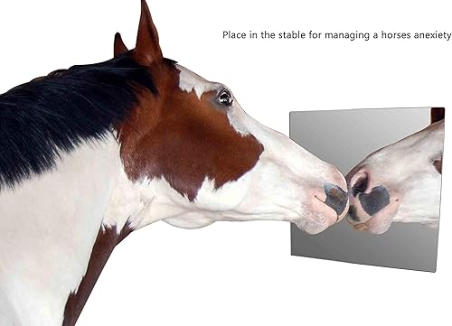 Miniatura 4 de Marketing Holders Lámina de espejo acrílico de 12 x 12 pulgadas, reflectante, sin marco, pantalla cuadrada ligera y portátil con esquinas