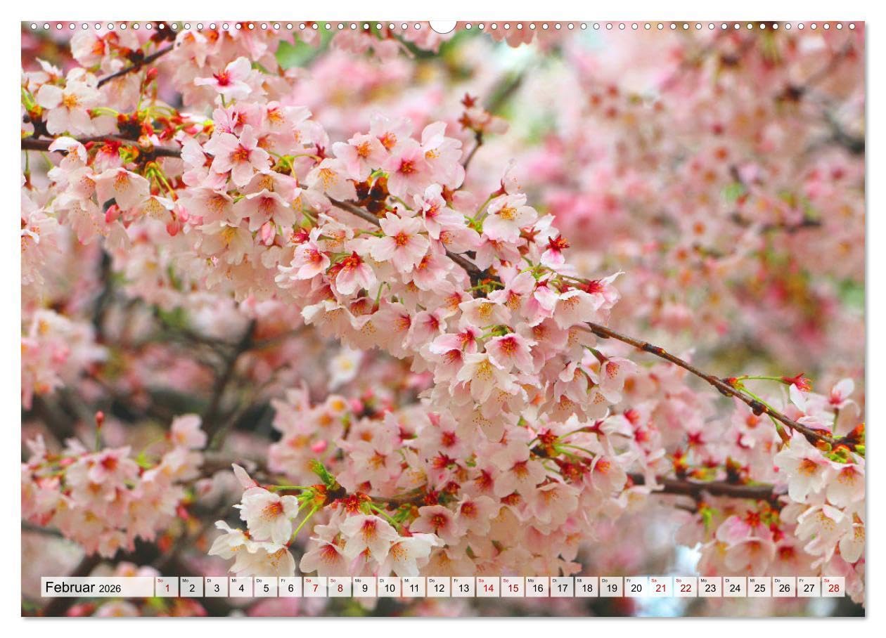 Japan das Land der aufgehenden Sonne (hochwertiger Premium Wandkalender 2026 DIN A2 quer), Kunstdruck in Hochglanz: Japan - zwischen Tradition und Moderne. (CALVENDO Orte)