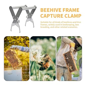 Bee Hive Tools Stainless Steel Honey Extract Cutting, Catching, Feeding
