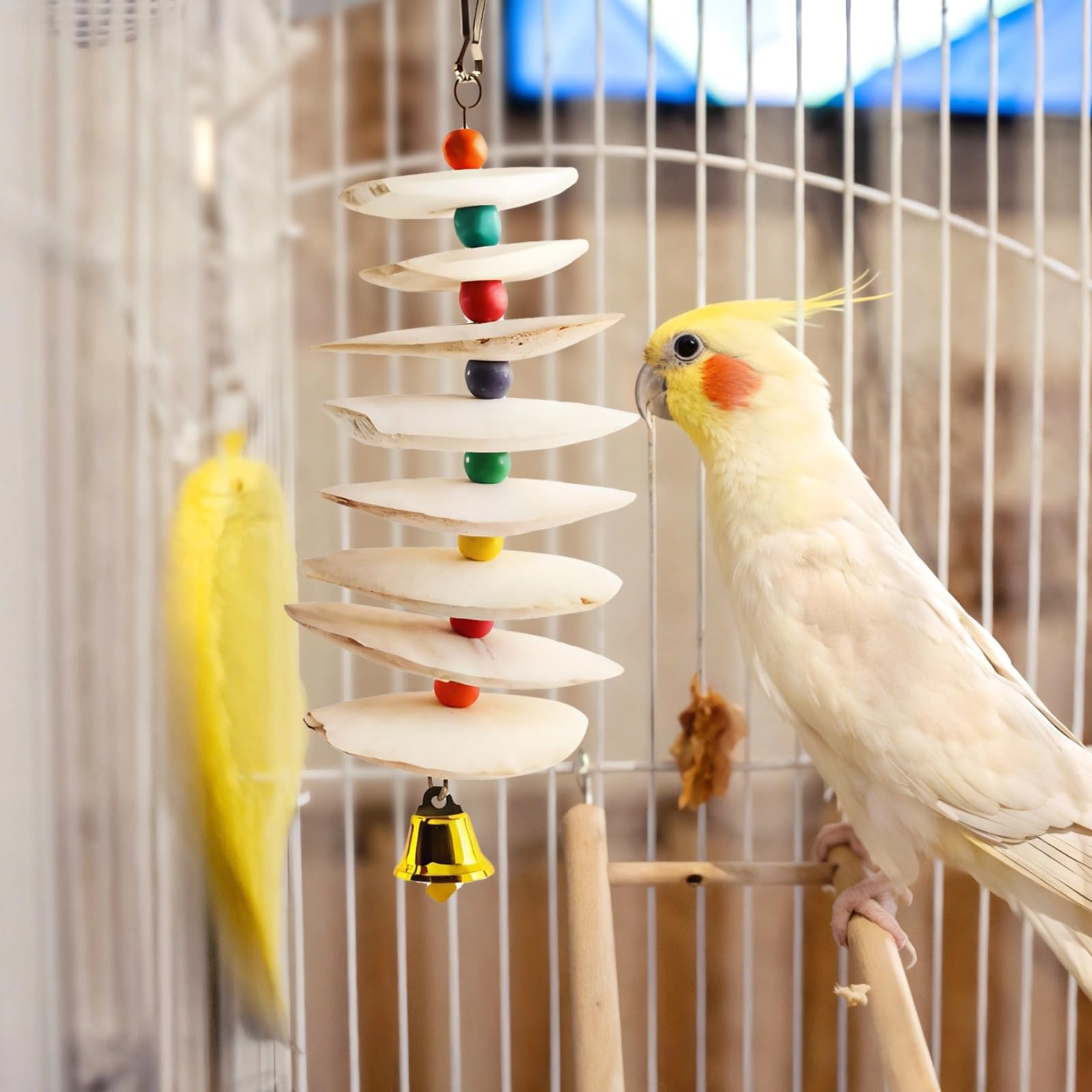 Lot de 4 os de seiche pour oiseaux, 32 cm, jouets à suspendre avec clochette, pierre naturelle pour le bec, poncés et dessalés, jouet à mordiller avec apport en calcium pour petits et moyens oiseaux
