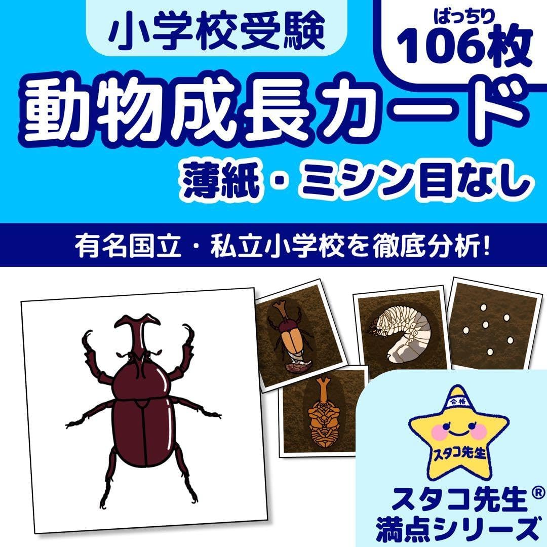 小学校受験 動物 成長 カード お受験 理科的常識 自然科学 スタコ先生