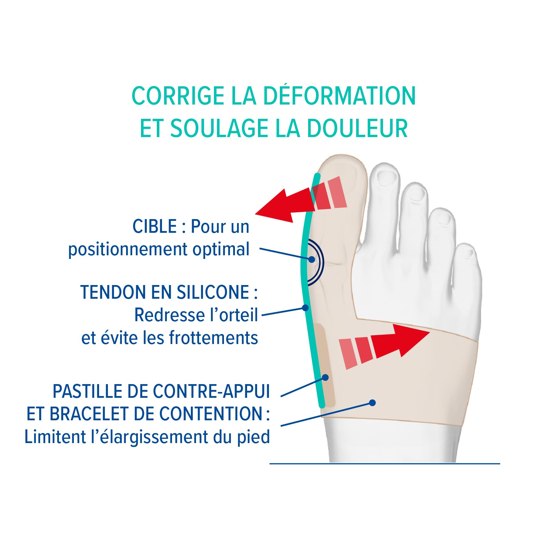 Epitact Orthèse Hallux Valgus Jour Corrige la Déformation à la Marche Soulage les Douleurs Fine Souple L (Lot de 1)