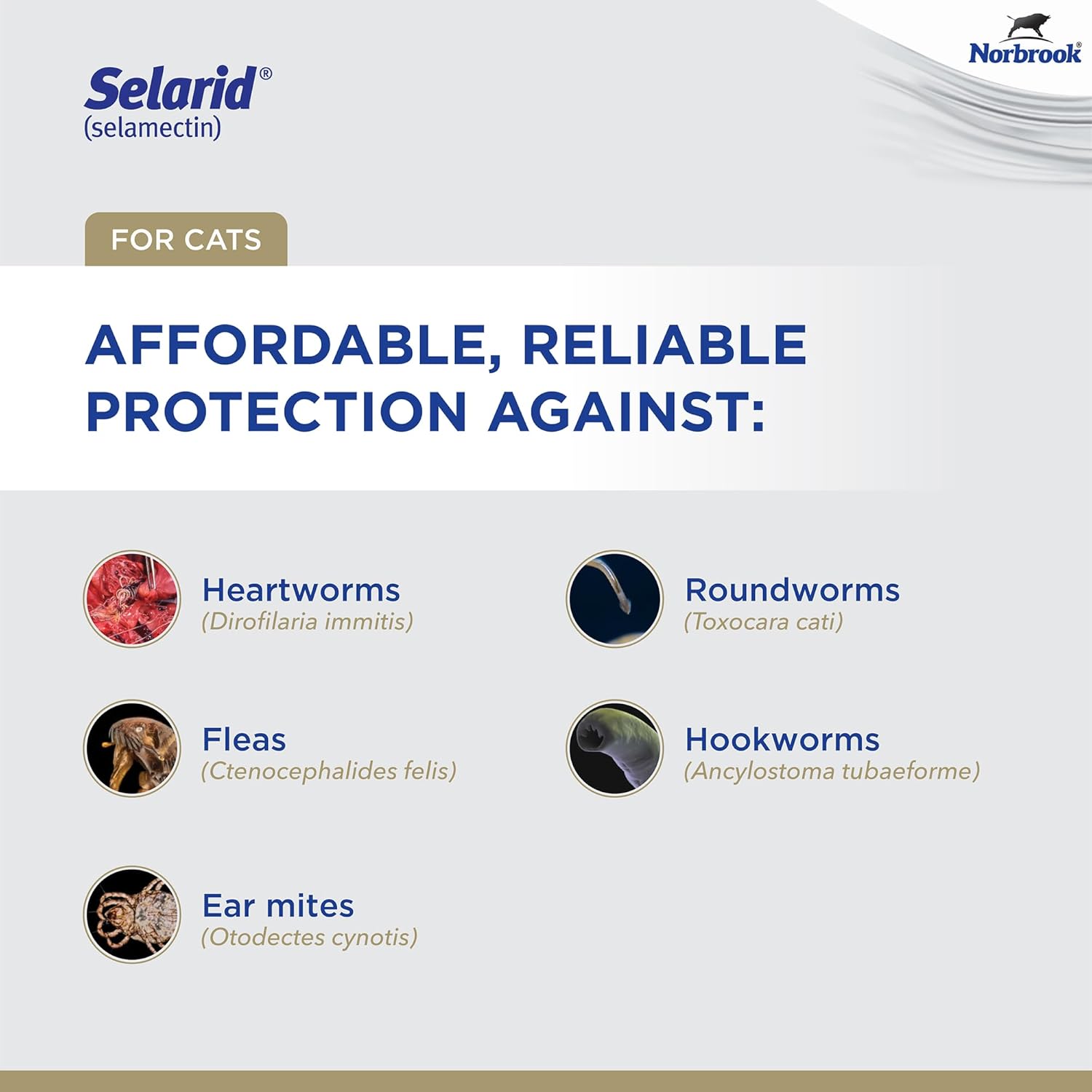 (selamectin) | Cats 15.1-22 lbs | 6-Month Supply | Flea, Heartworm, Roundworm, Hookworm, and Ear Mite Protection