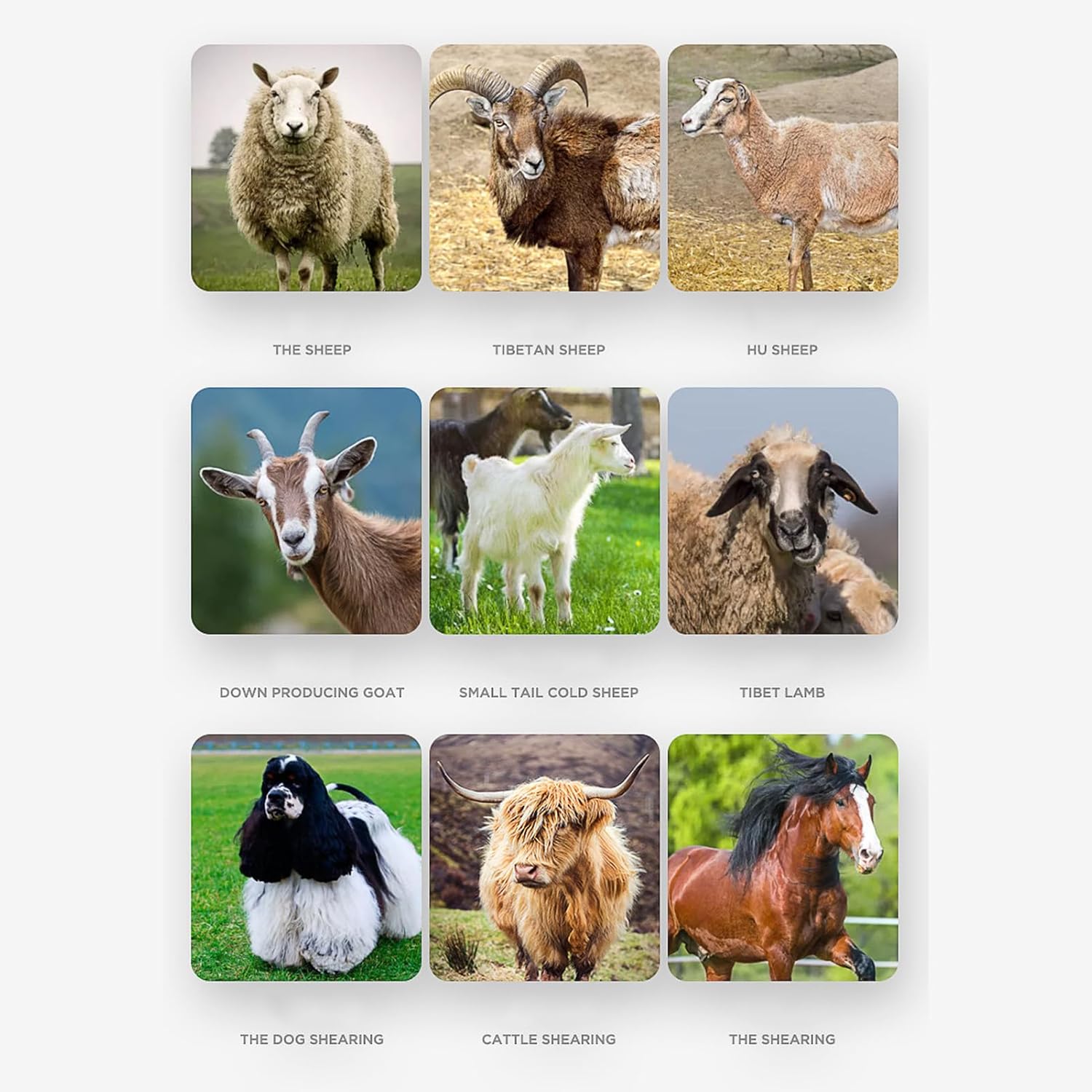 Sheep Shears Electric Farm Livestock Haircut, Animal Clippers for Horses Alpacas Goats for BL1830B BL1840B BL1850B 21V Battery Adjustable Speed Cordless Shearing Clippers