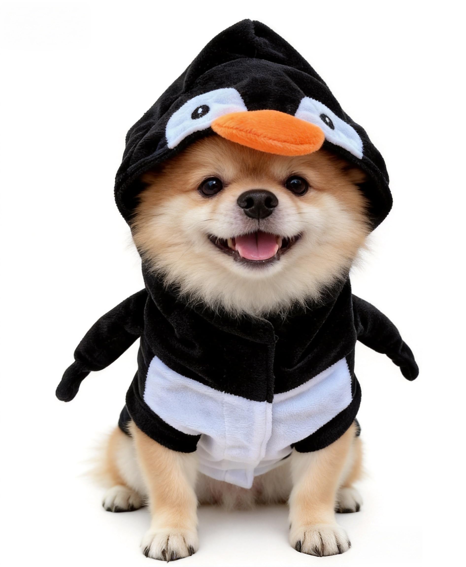 Manteau d'hiver à capuche pour chiot : partagez la magie de Noël avec lui