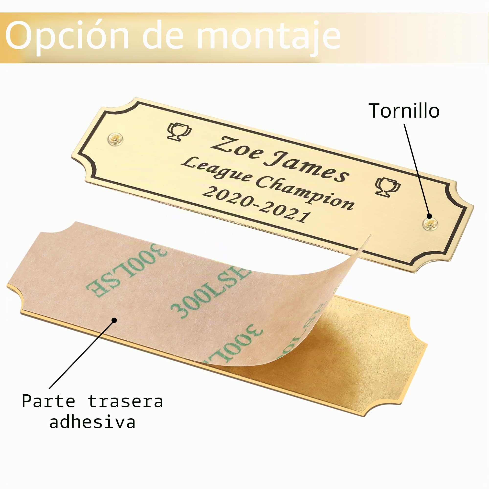 2.5 x 7.6 CM Placa Grabada Elegante Personalizable, Placa de Nombre Conmemorativa Personalizada para Trofeos, Marcos, Urnas, Placa Grabada con Láser de Latón o Acero