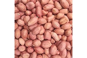 Raw Spanish Peanuts: 5 LB Bag of Unsalted, Unroasted Goodness from the USA