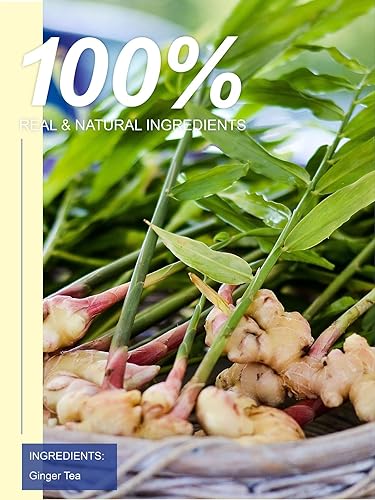 Vista 370 de TeeLux Mugwort Tea Bags - Té de hierbas de artemisa seca natural, sin cafeína, 40 bolsas de té