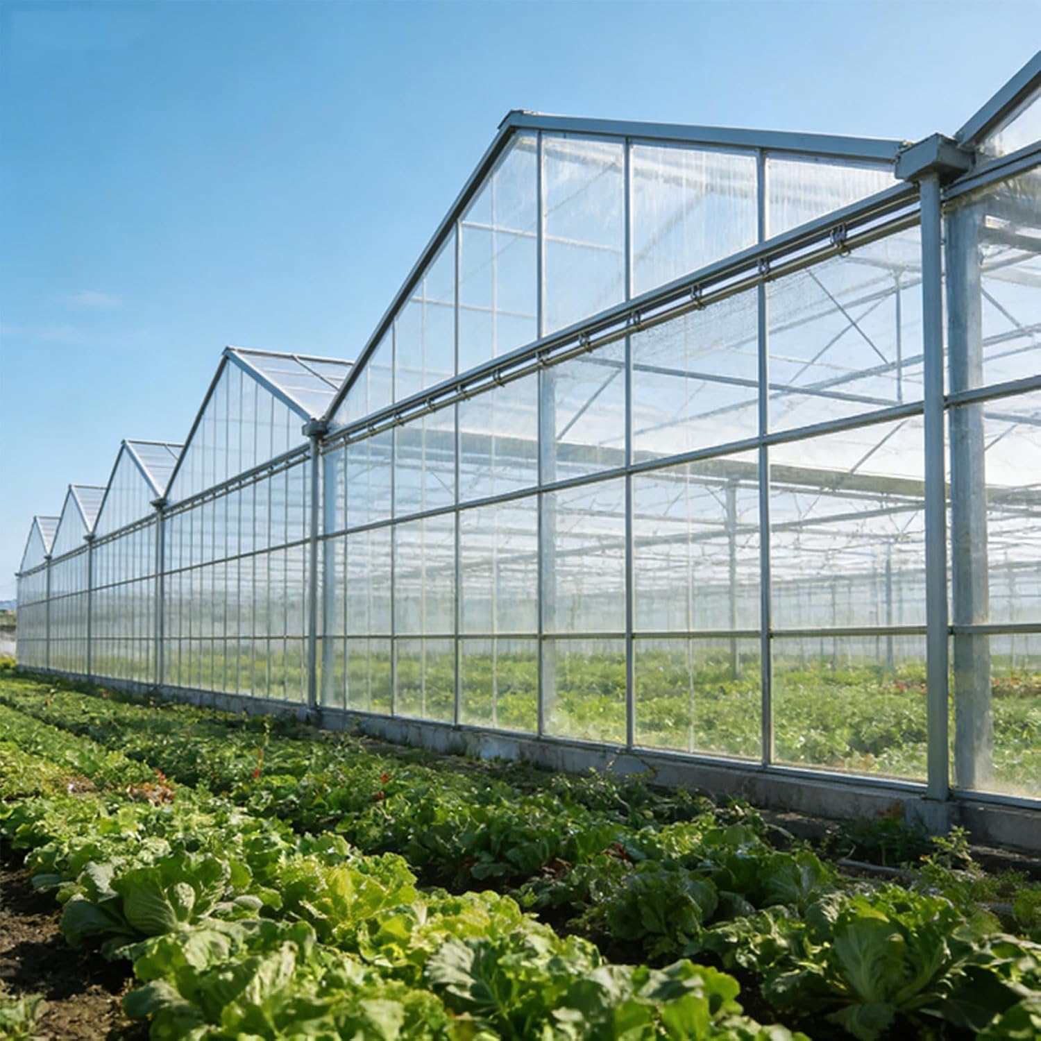 Greenhouse Polycarbonate Panels, Polycarbonate Sheets Roof Clear Roofing Panels for Greenhouses, Garages, Sunshades, Trellises(1.2x5m)