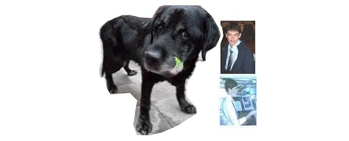 Andreas Klamm Journalist