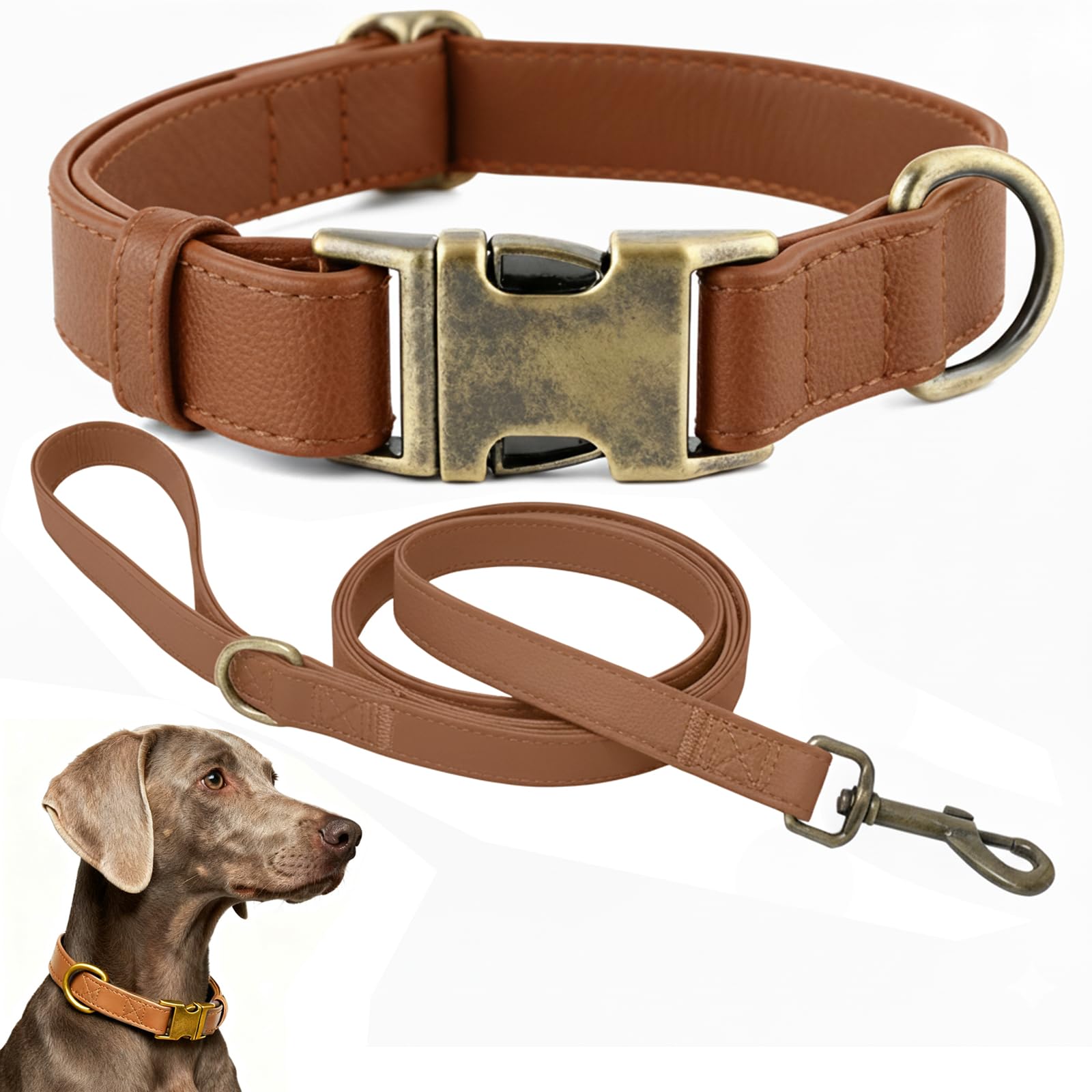 Ensemble collier et laisse pour chien en cuir de silicone durable et design souple
