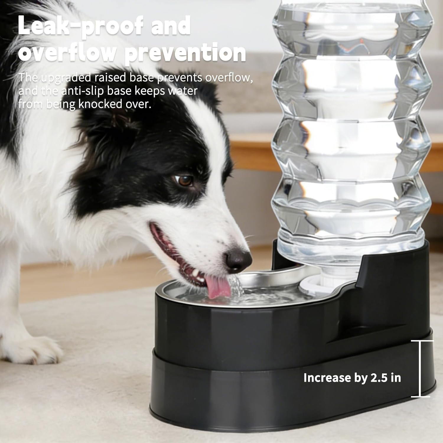 RIZZARI 9L Elevated Dog Water Dispenser: Filtered Gravity Waterer image 3
