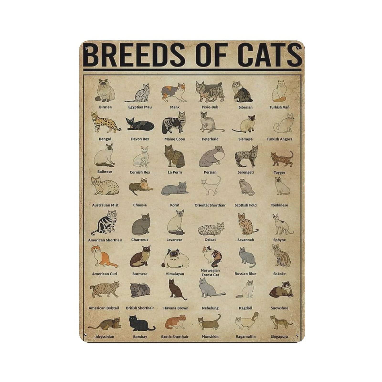 Metal Tin Sign at Breed Knowledge Graph Vintage Tin Poster Metal Sign Wall Decoration Country Kitchen Home Garage Decor 16"x12"