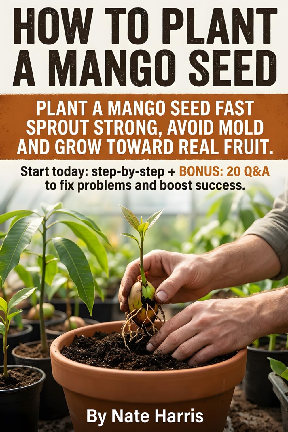 How to Plant a Mango Seed: Seed-to-tree mango guide: grow mango tree from seed, pick the best mango seeds to plant, master mango tree soil, plus ... habits that build a future fruiting tree.