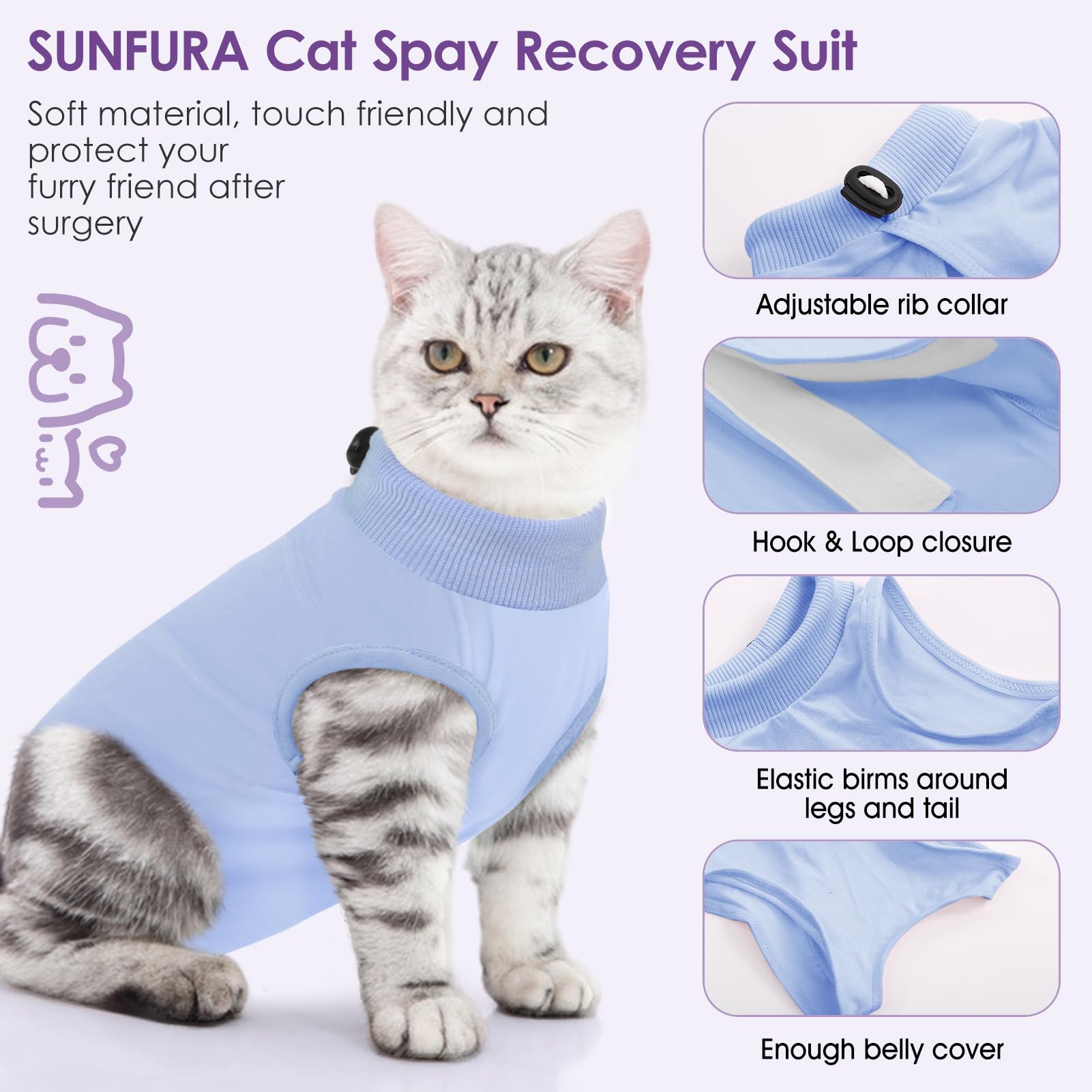 Wound Healing Cat Not Drinking Water After Spay Cat Eating But Not