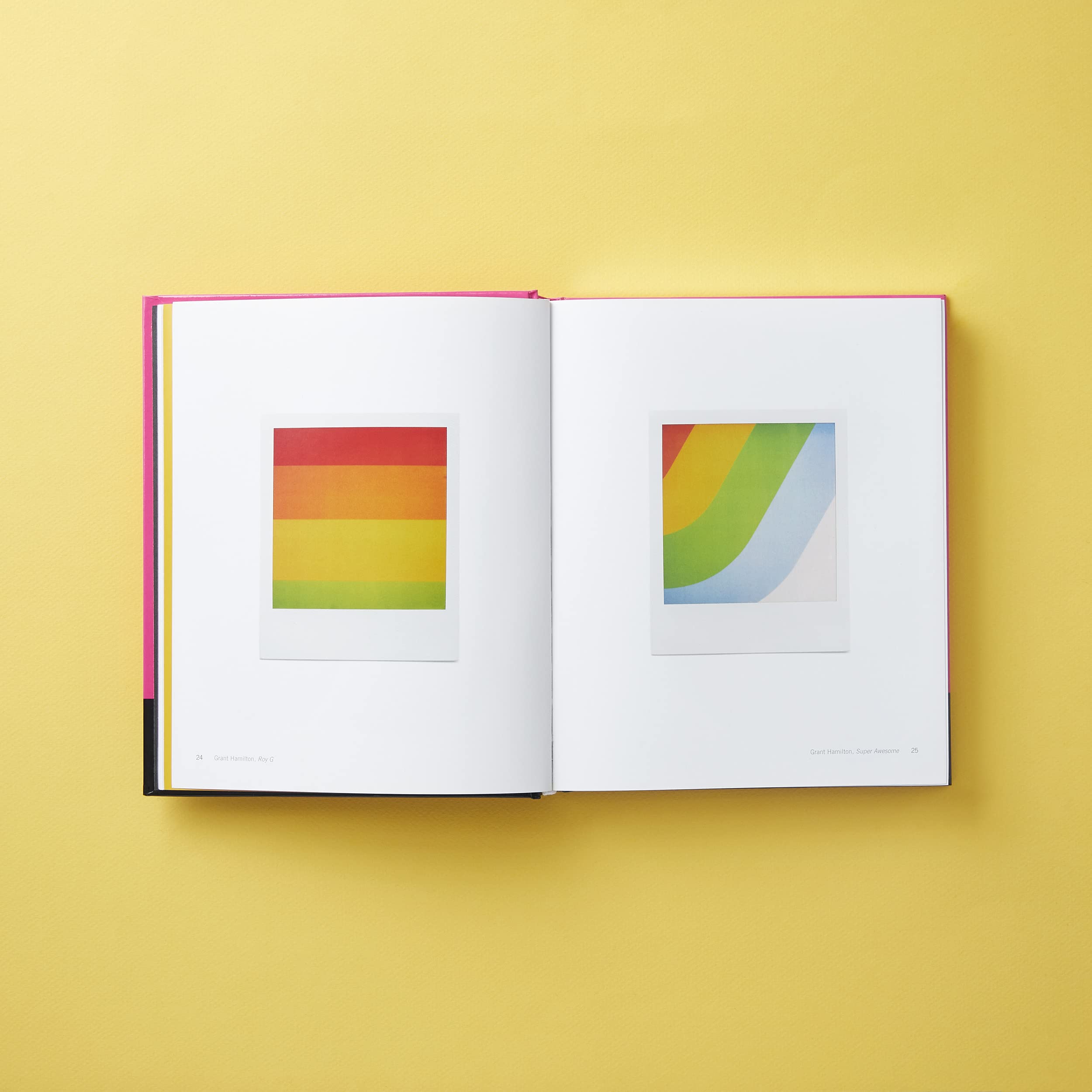 Polaroid Now: The History and Future of Polaroid Photography - Image 7